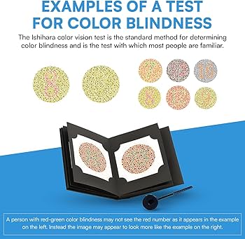 Amazon.com: Ishihara Test Chart Books for Color Deficiency 38